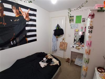 Picture 14